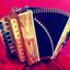 adamoaccordion