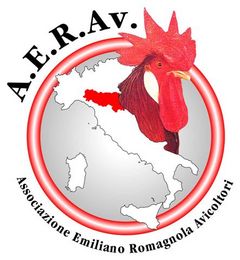 Immagine profilo di aerav