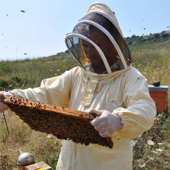 Immagine profilo di andrea-farci