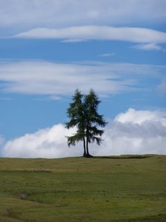 Immagine profilo di aristarco2011