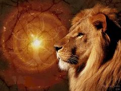 Immagine profilo di aslan-lion