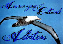 Immagine profilo di ass-albatros