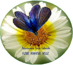 Immagine profilo di ass-fleur