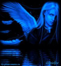 Immagine profilo di blue-angel111