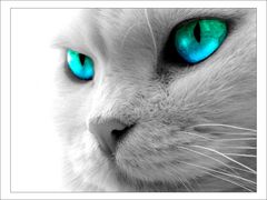 Immagine profilo di blue.eyes66