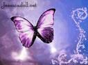 Immagine profilo di butterfly144