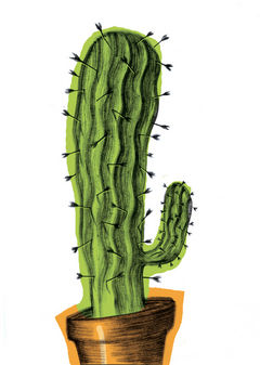 Immagine profilo di cactuspin