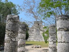 Immagine profilo di chichenitza