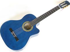 Immagine profilo di clasicbluguitar