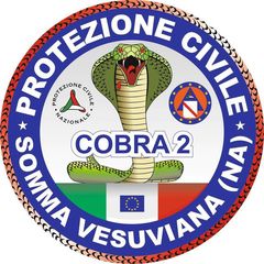 Immagine profilo di cobra-due