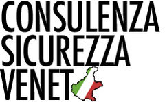 Immagine profilo di consulenza-ve