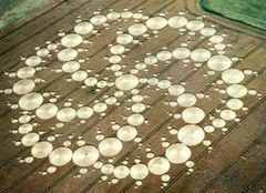 Immagine profilo di crop-circle