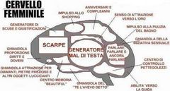 Immagine profilo di female-brain