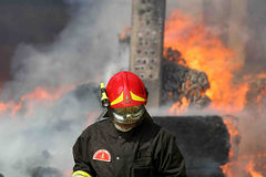 Immagine profilo di fireproof-roma