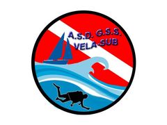 Immagine profilo di gss-velasub