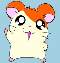 Immagine profilo di hamtaro18