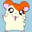 hamtaro18