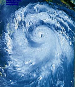 Immagine profilo di hurricane61