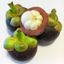 ilovemangosteen