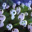 kodama76