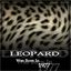leopard1977