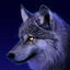 lonewolf676