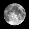 Immagine profilo di luna.chiaraa61