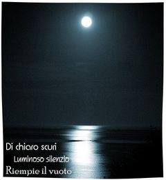 Immagine profilo di midnight_moon