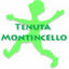 montincello1