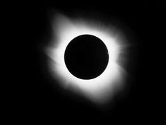 Immagine profilo di moon_eclipse
