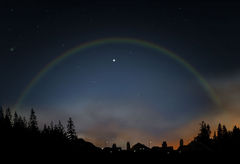 Immagine profilo di moonbow