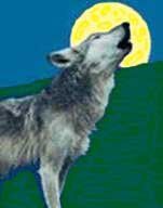 Immagine profilo di nero.wolfe