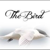 Immagine profilo di newsthebird