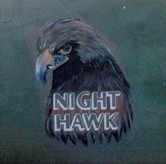 Immagine profilo di nighthawk_63