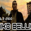 niko_bellic