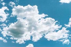 Immagine profilo di nuvola1274