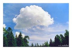 Immagine profilo di nuvolesospese
