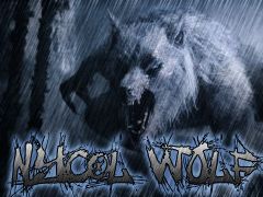 Immagine profilo di nycolwolf
