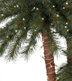 Immagine profilo di palmchristmas