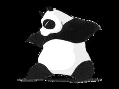 Immagine profilo di pandapunk
