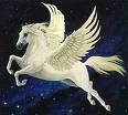 Immagine profilo di pegaso-bg