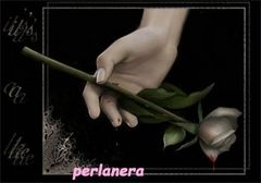 Immagine profilo di perlanera131