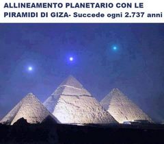 Immagine profilo di plantasia