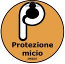 Immagine profilo di protezionemicio