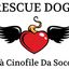 rescuedogs
