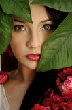 Immagine profilo di rose.mosquete