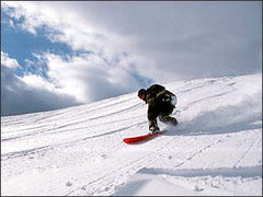 Immagine profilo di snow_surfer