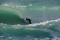 Immagine profilo di surferlivorno