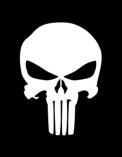 Immagine profilo di thepunisher0.o