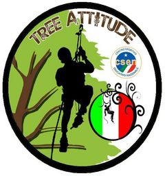 Immagine profilo di treeattitude